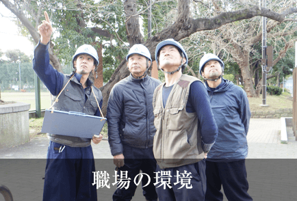 造園 庭師 正社員 バイト求人募集 有限会社山水 東京都中心
